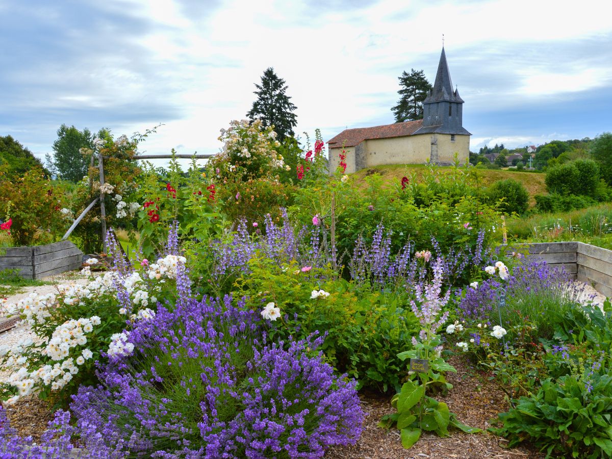 Balade découverte du Jardin de l'An Mil à nos jours