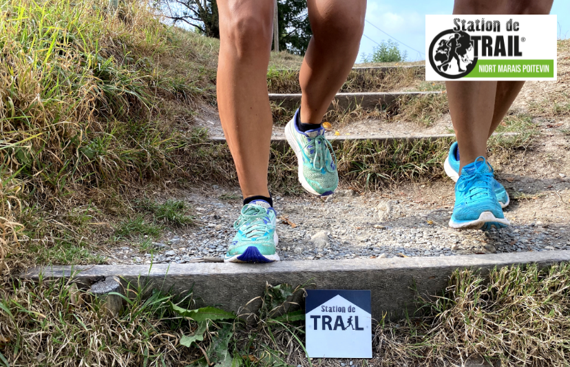 Variante : Les chemins forestiers de l'Hermitain - Station de Trail