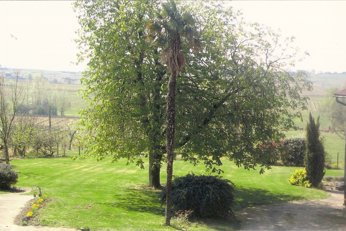 Gîte du Jardinet