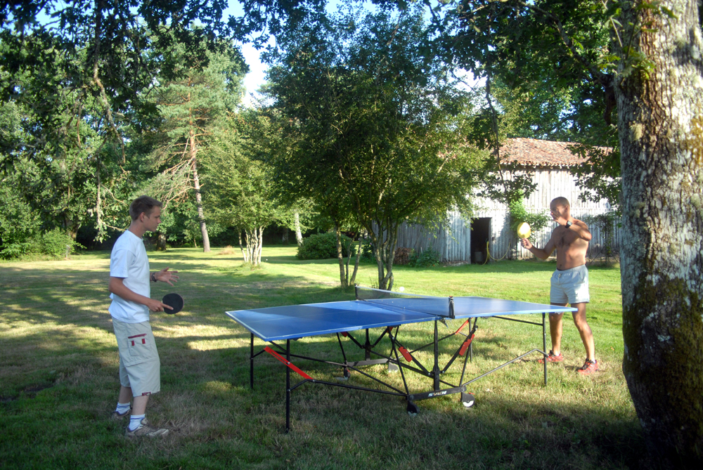 Les Arbousiers