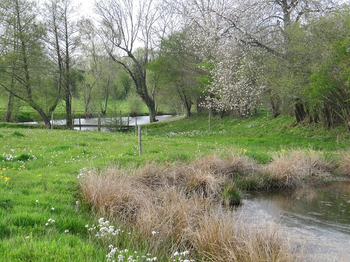 Aire de Camping du Beugnon