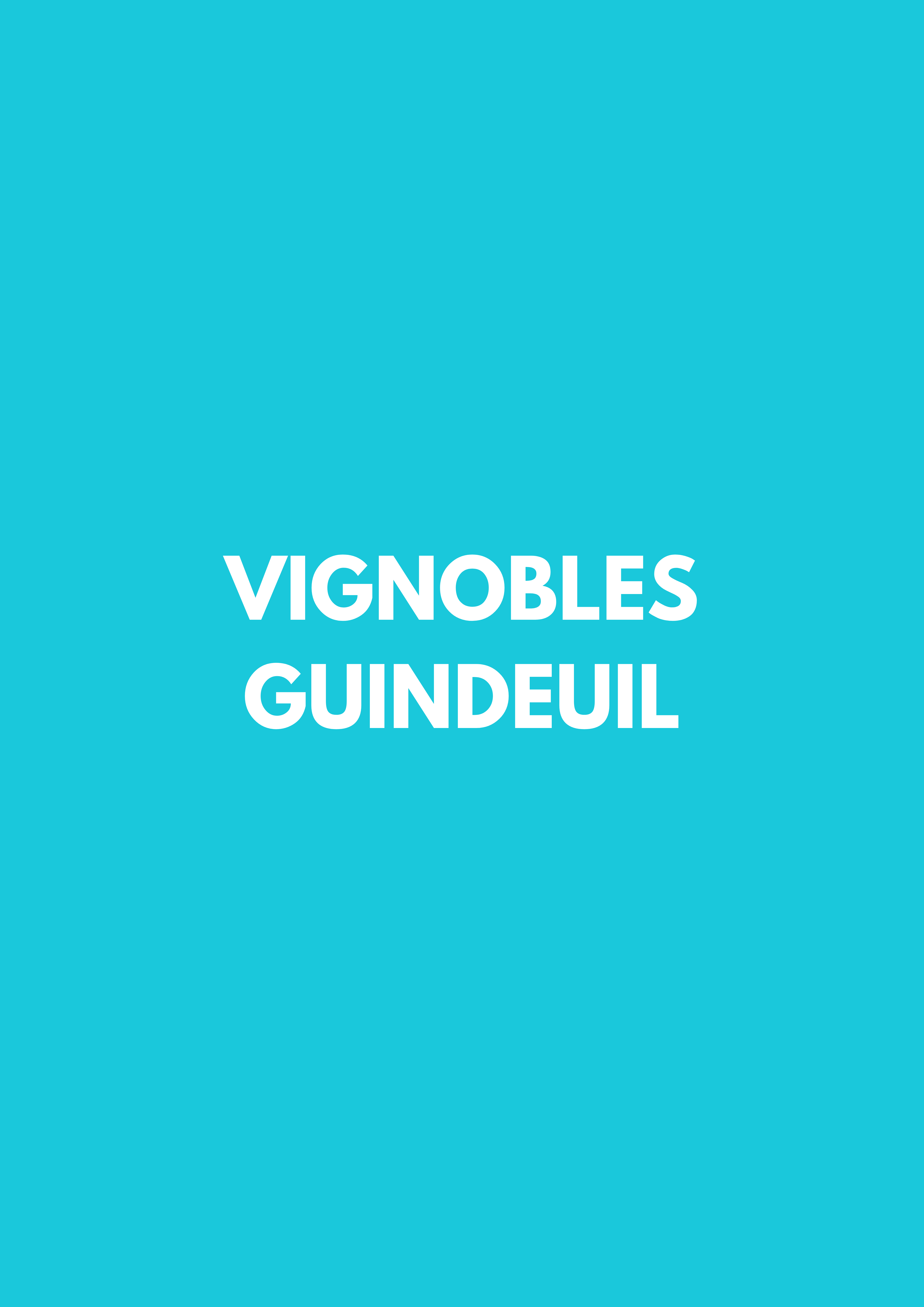 Vignobles Guindeuil