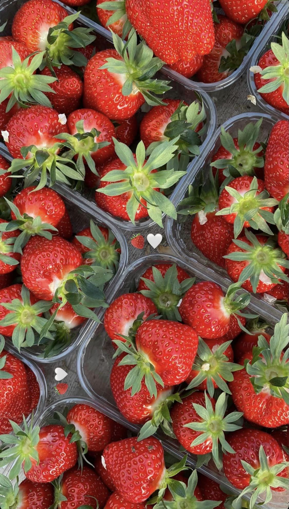Fraises