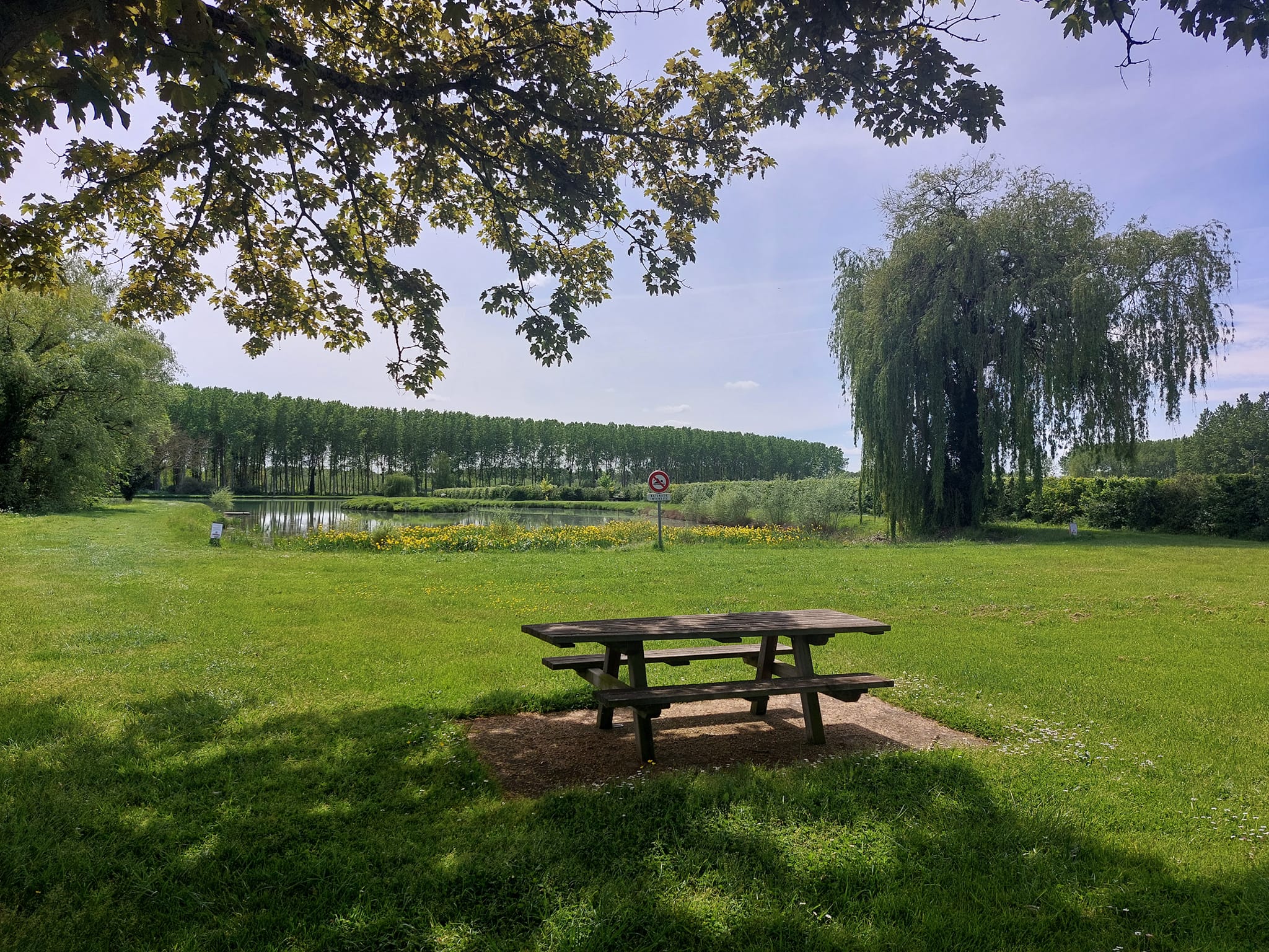 Etang de Doussay