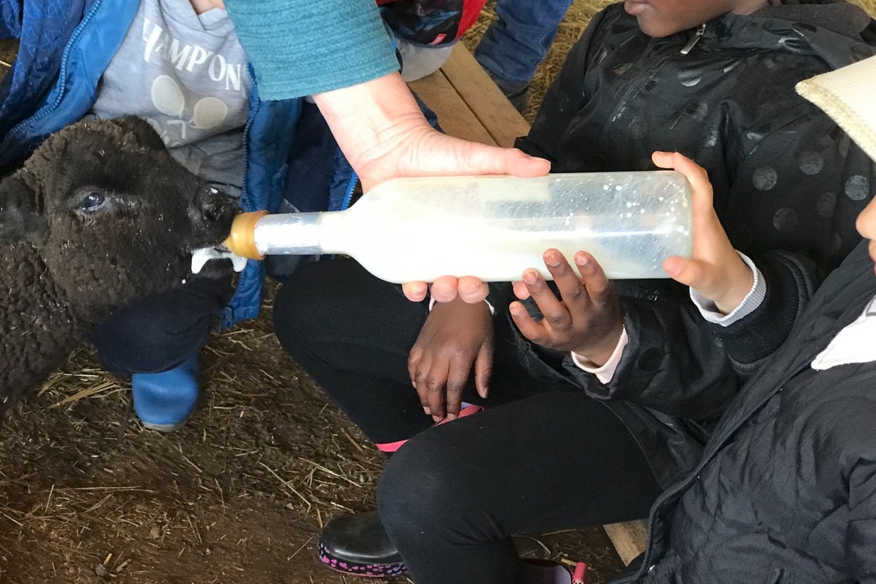Visuel évènement