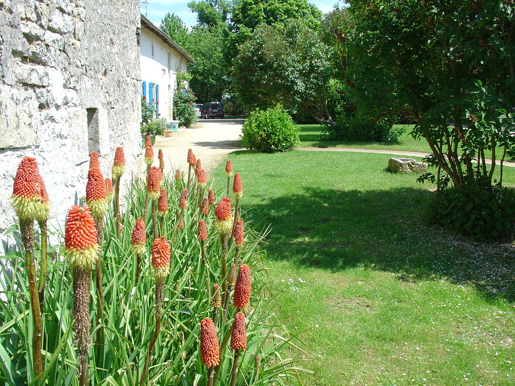 Les Gîtes de la Métairie de la Guiarderie