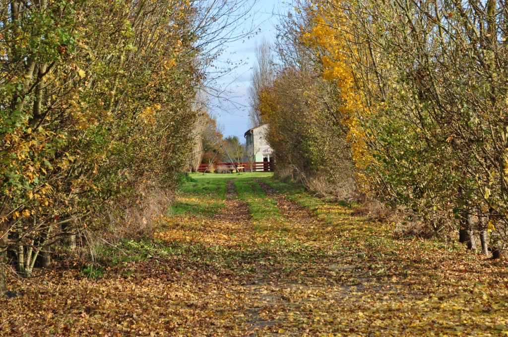 Gîte Côté Marguerites - Le Hameau de Sainte-Mégrine