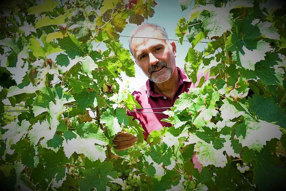 Affiche ou photo : Ici, nos savoir-faire - Visite Château les Maubats