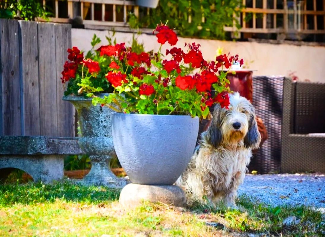 Camping Canin - La Soupèze