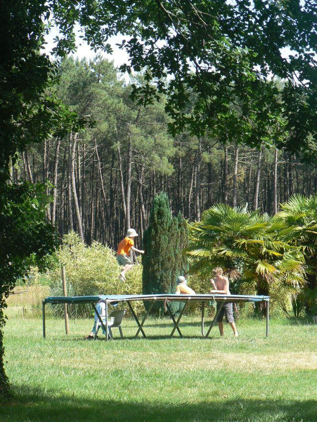 Aire Naturelle le Toy