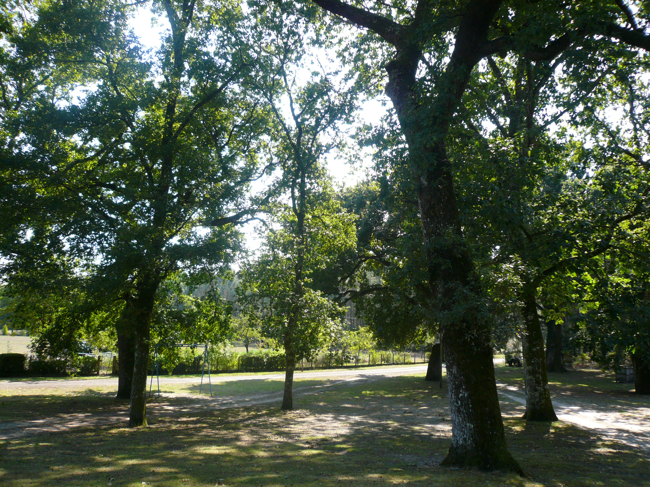 Camping Pellica
