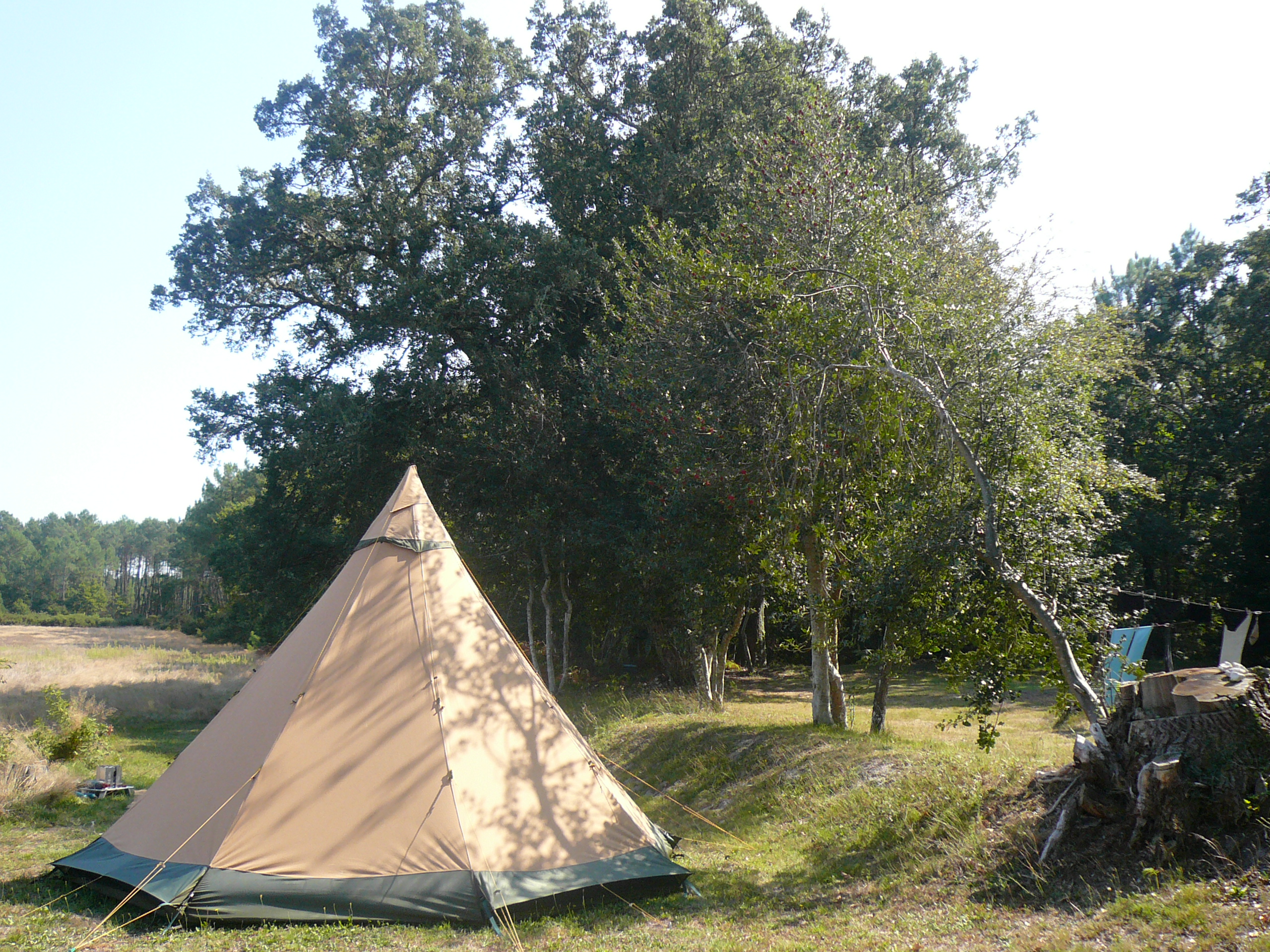 Camping Pellica