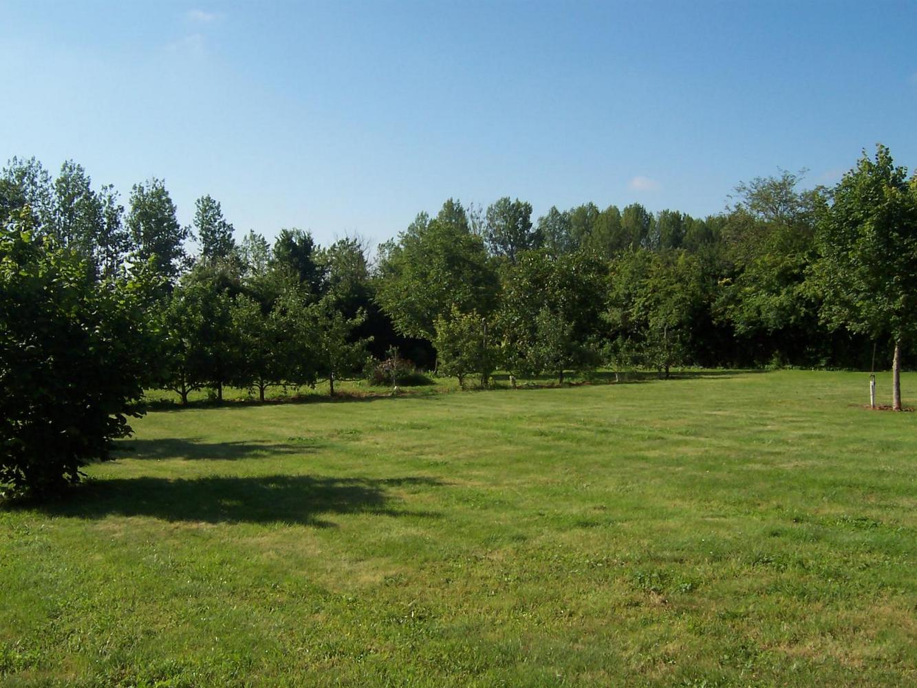 Gîte du Battreau - photo 8