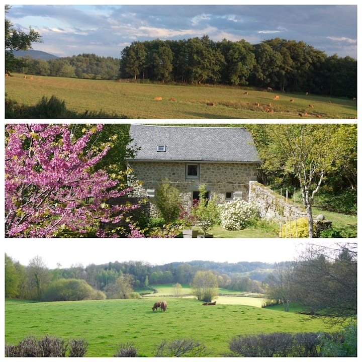 L'Ardoisette