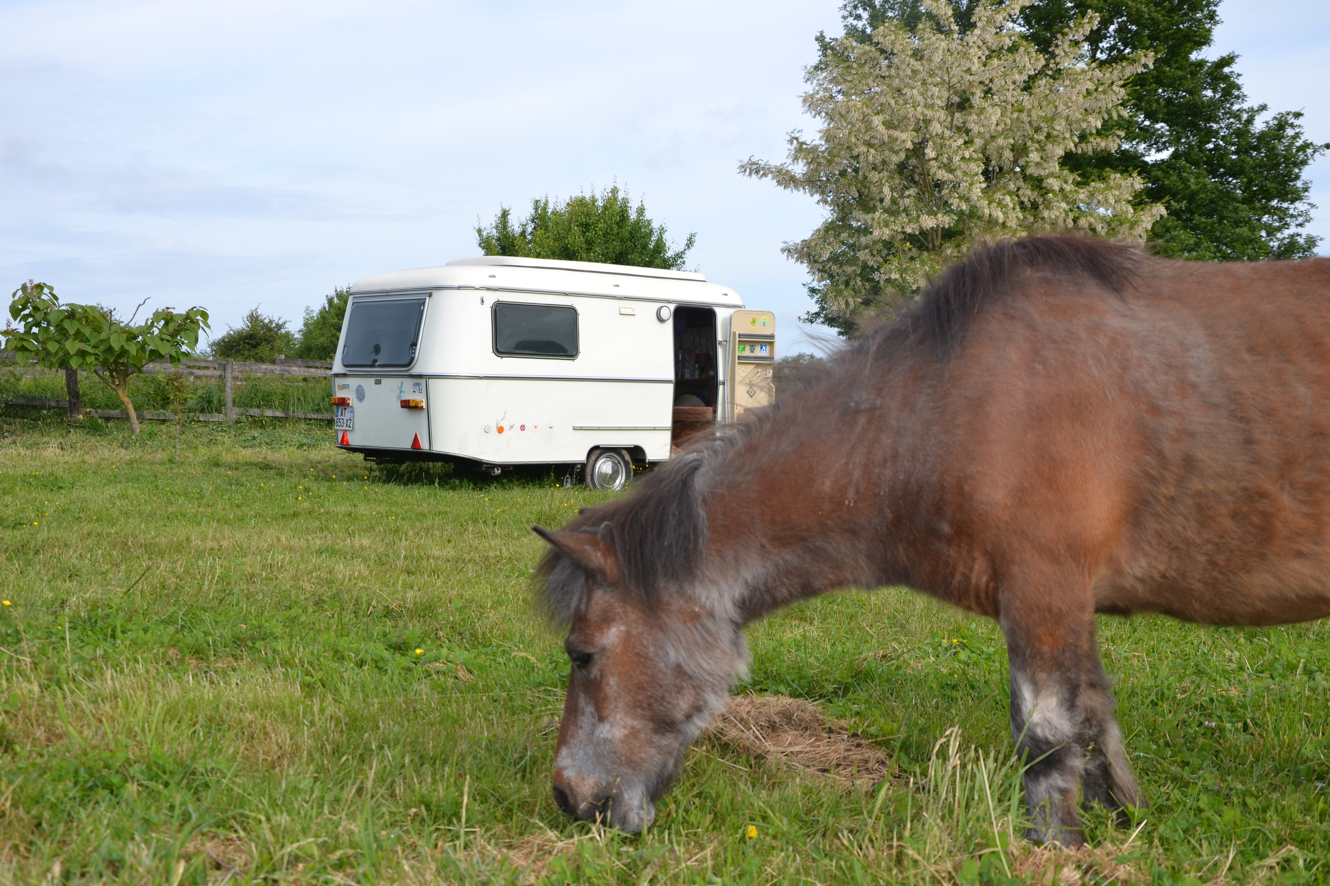 Camping La Vallée des Cerfs