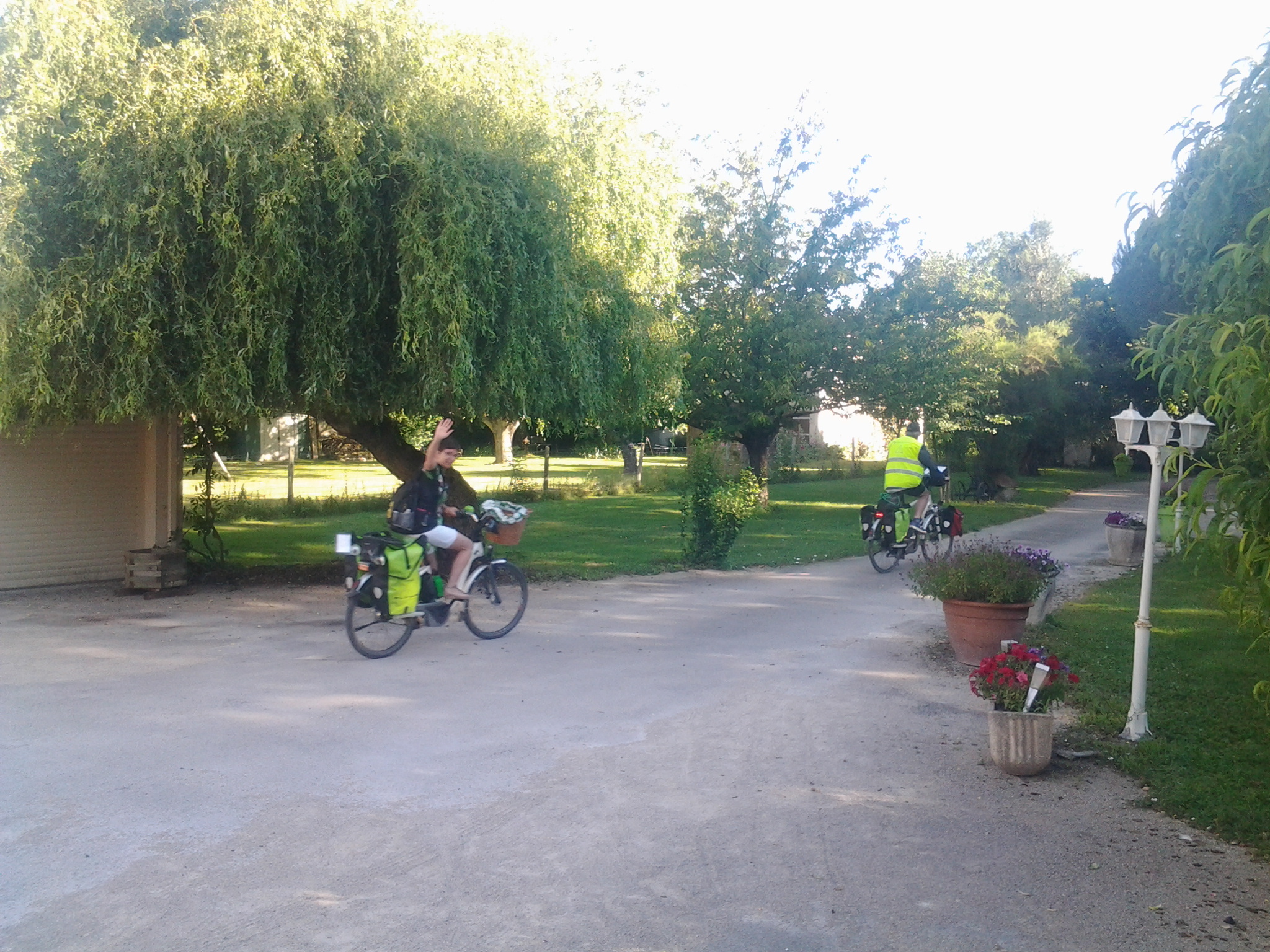 Les Roseaux