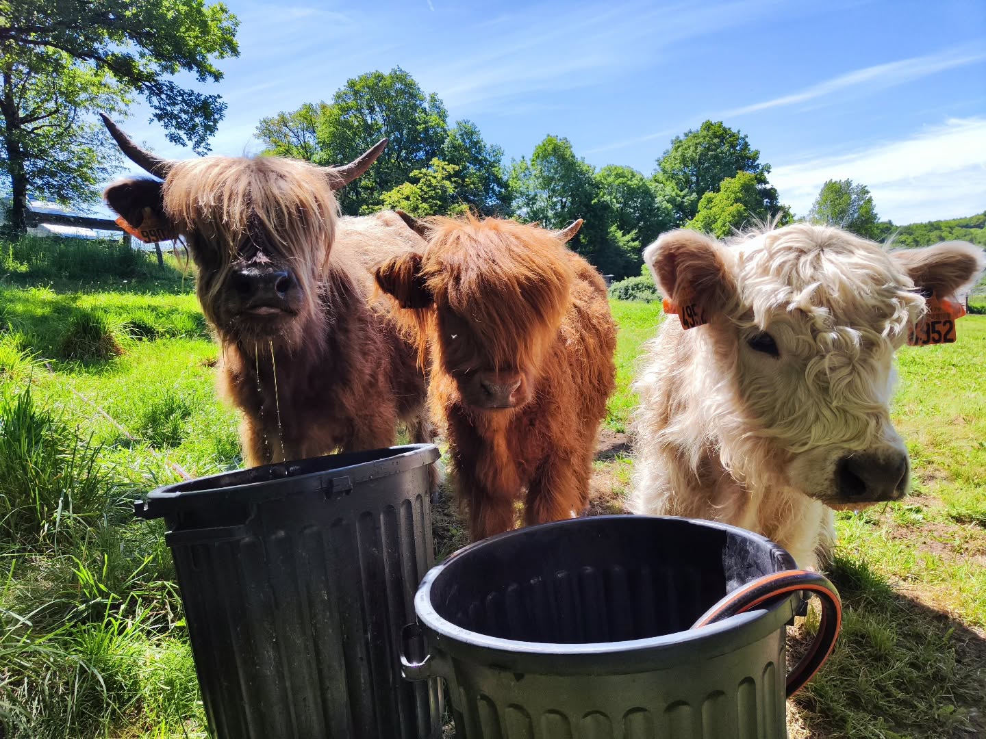 Ferme Naturaleza