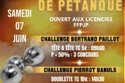 Grand prix de pétanque 