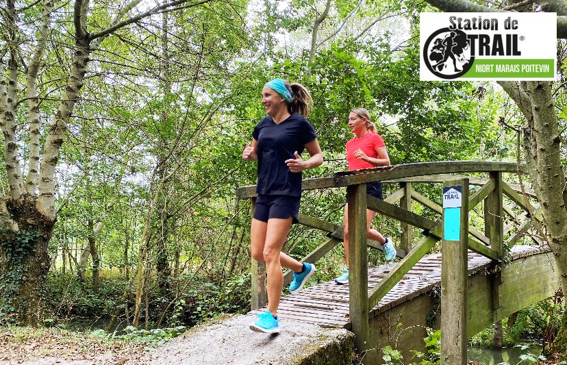 Au fil de la Sèvre - Station de Trail
