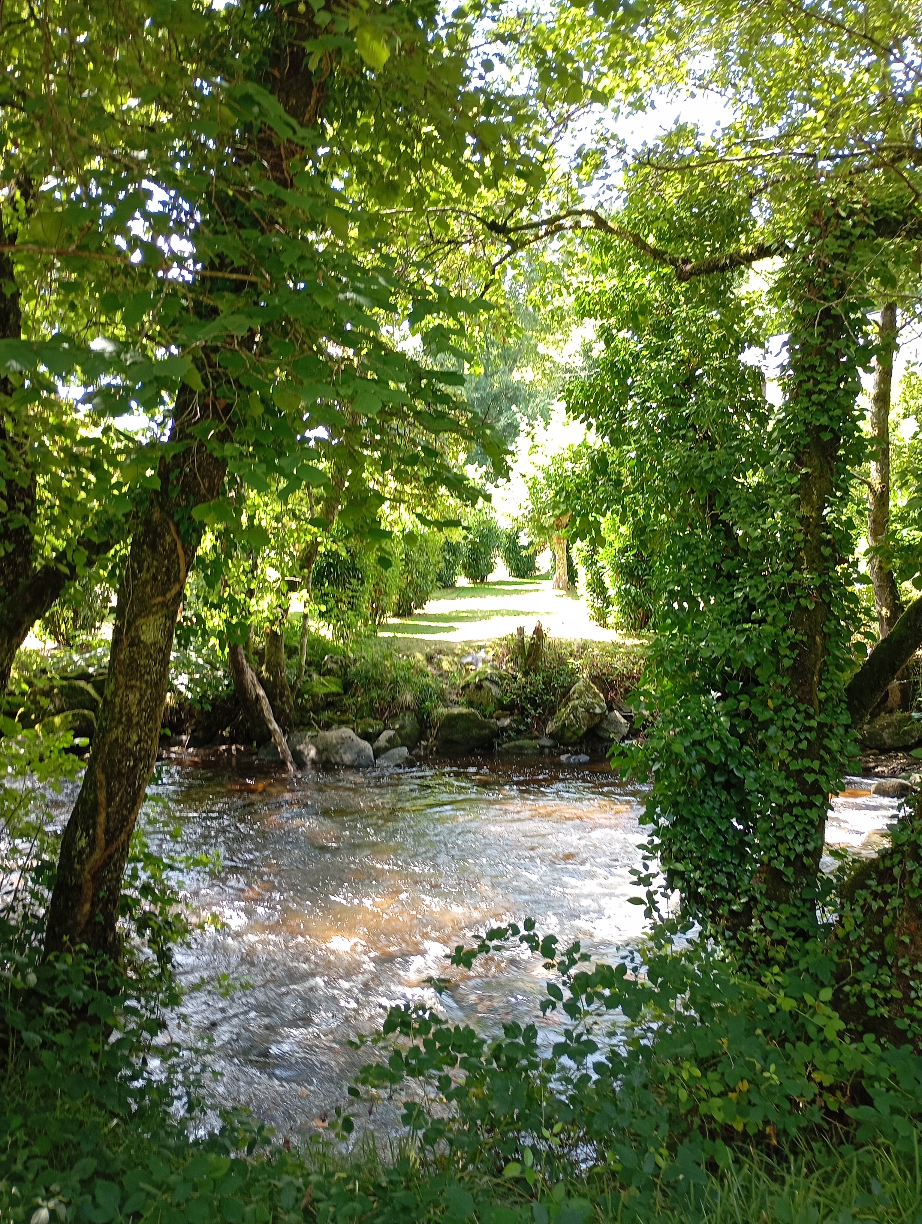 Aire d'accueil de camping-cars du camping le Corrèze