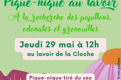Pique-nique au lavoir