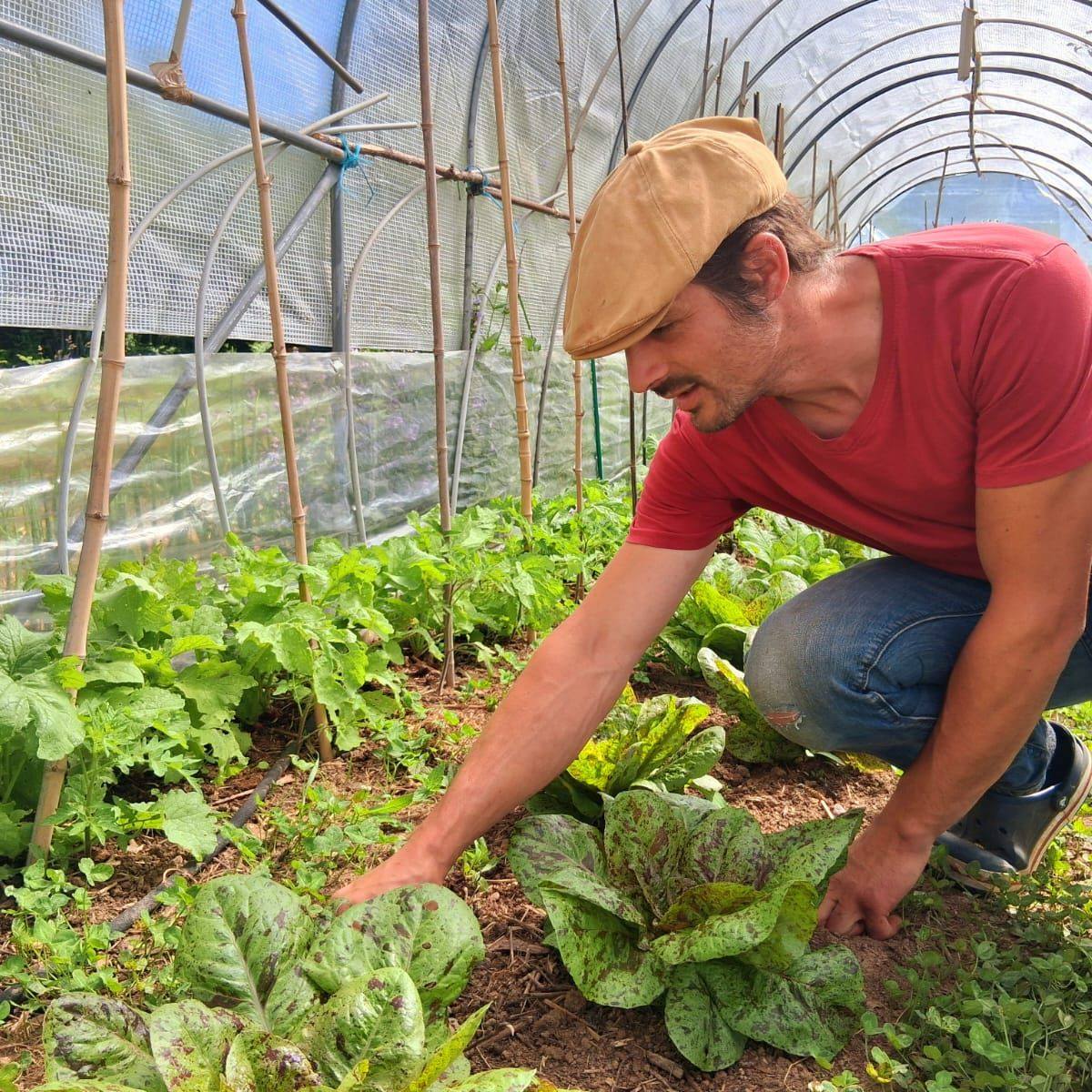 La petite ferme des Marmiers