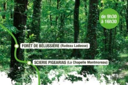 Gestion durable des forêts 