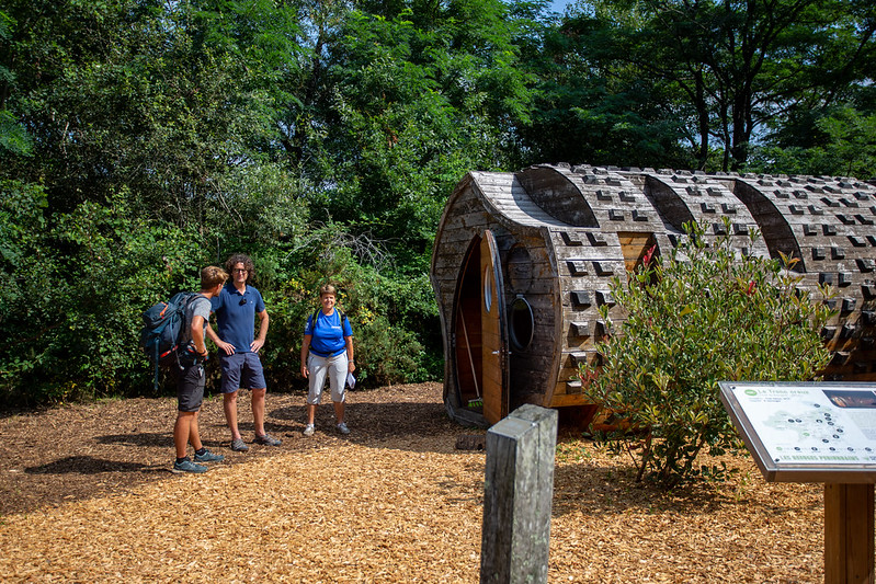 Balade à roulettes : La forêt du Bourgailh - Impraticable