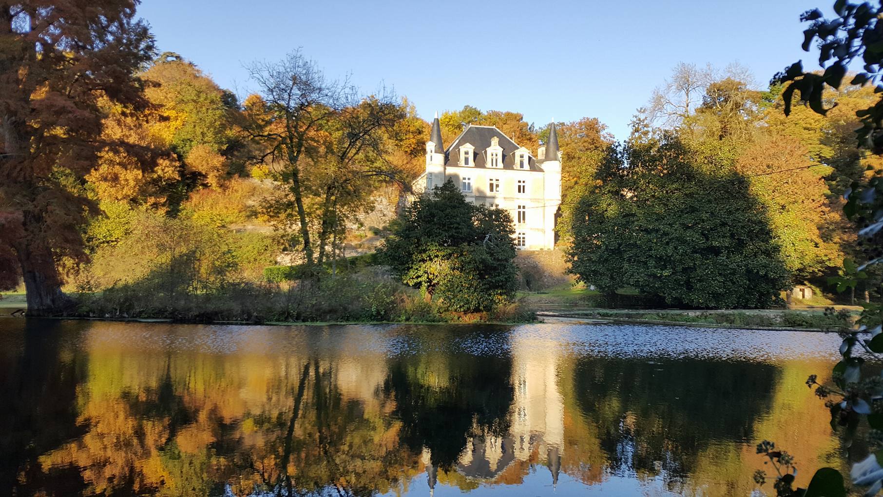 Domaine du Château des Loups - Les cèdres bleus