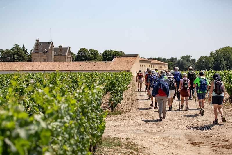 "La Randonnée des Châteaux" à Pauillac