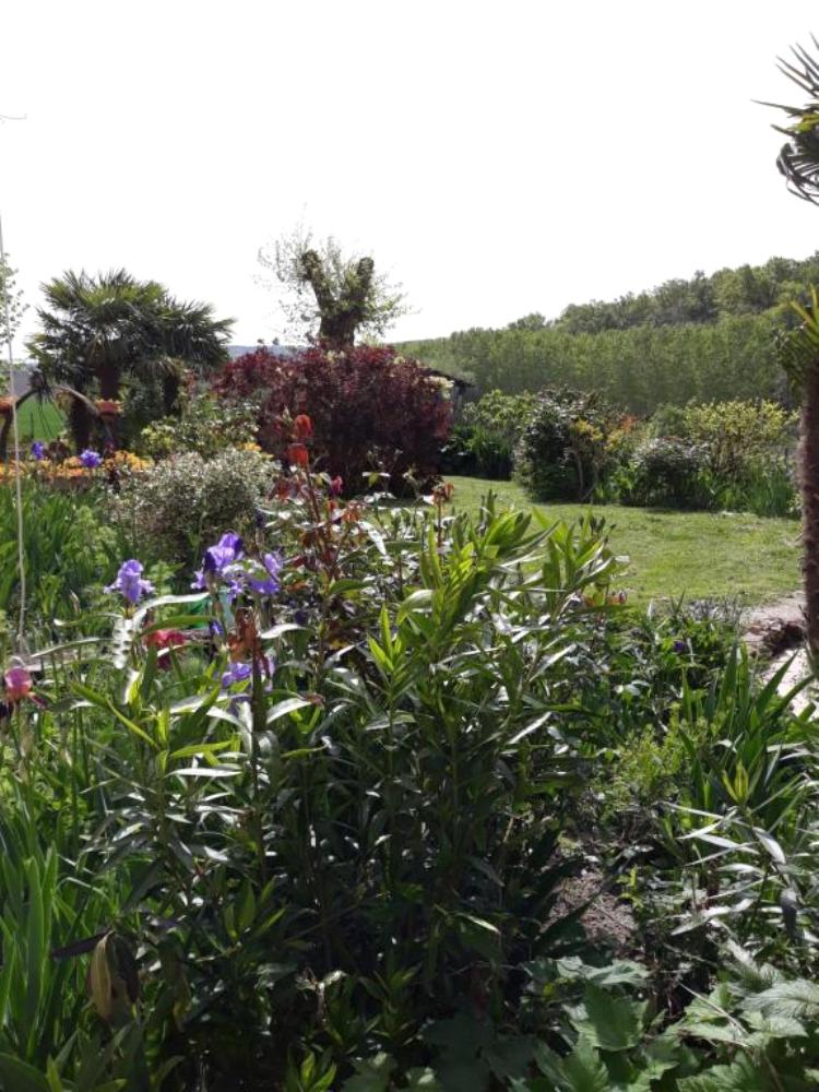 Meublé les Iris