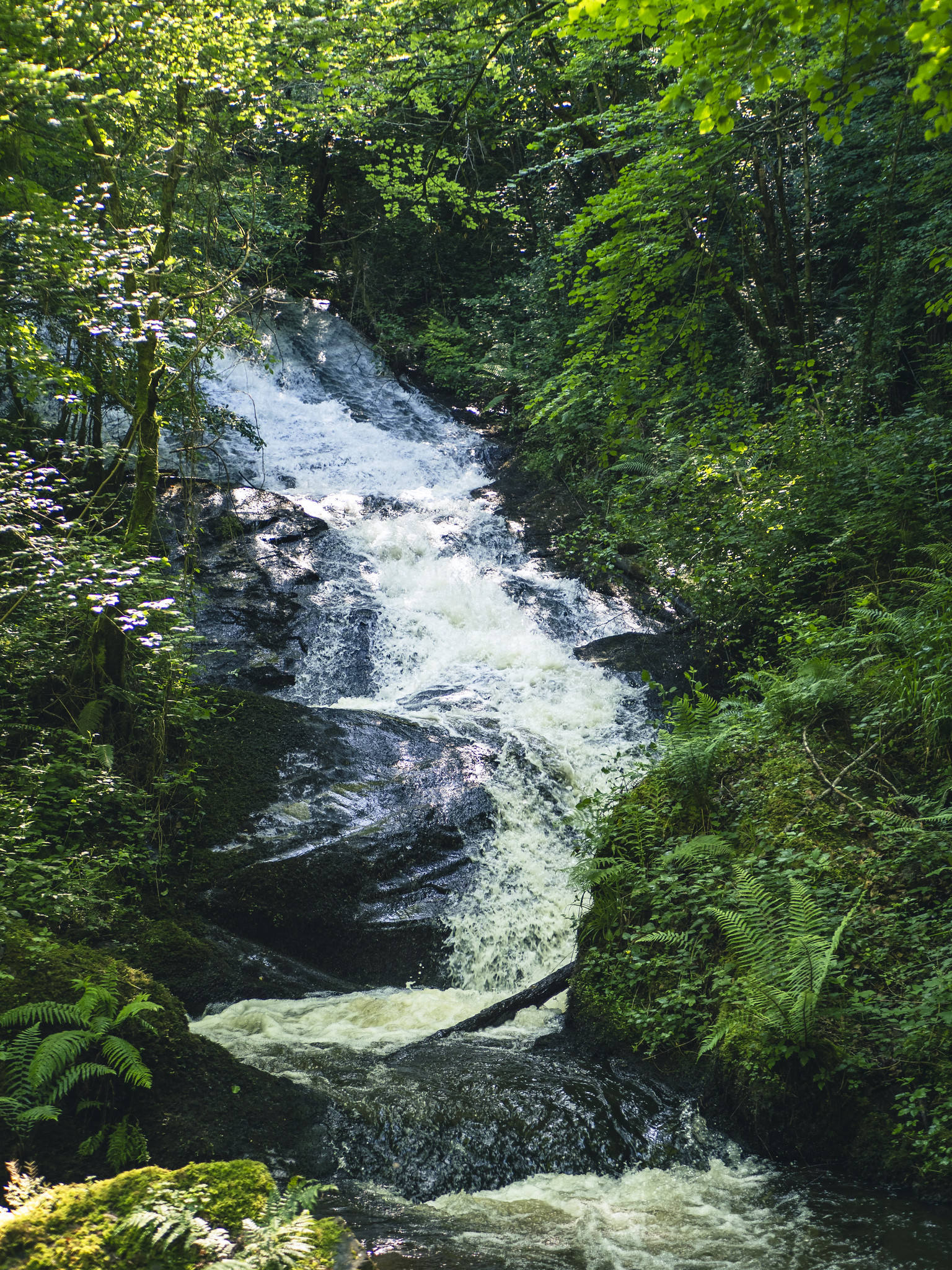 Cascade de la Brauze