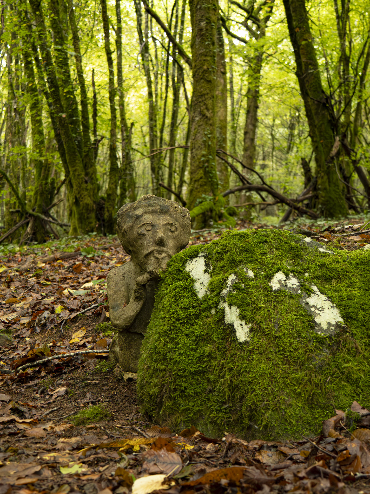 Les amoureux de la Forêt de Blanchefort