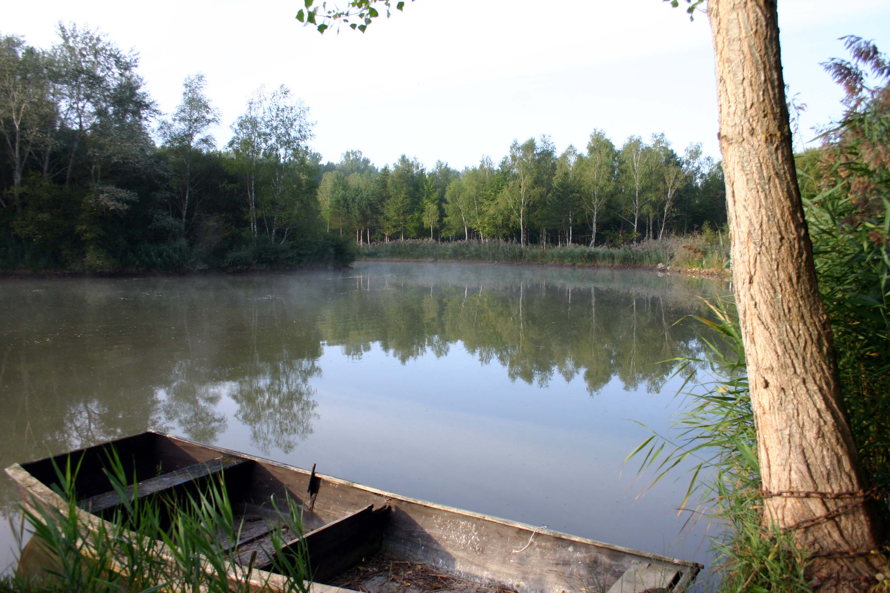 Le Grand Sentier de Scévolles