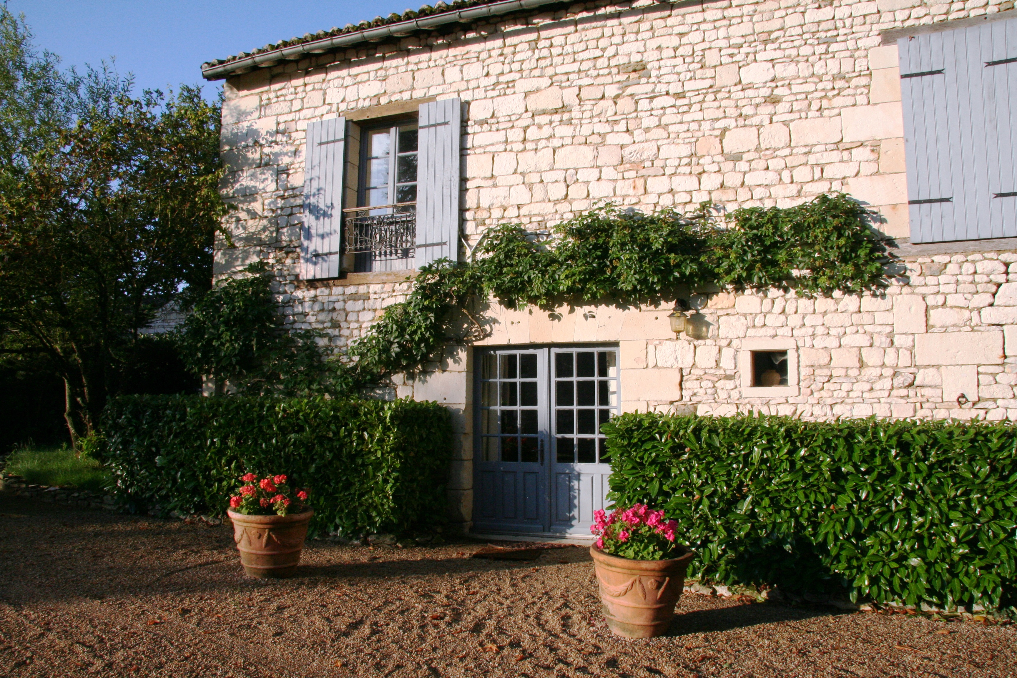 Les Marronniers