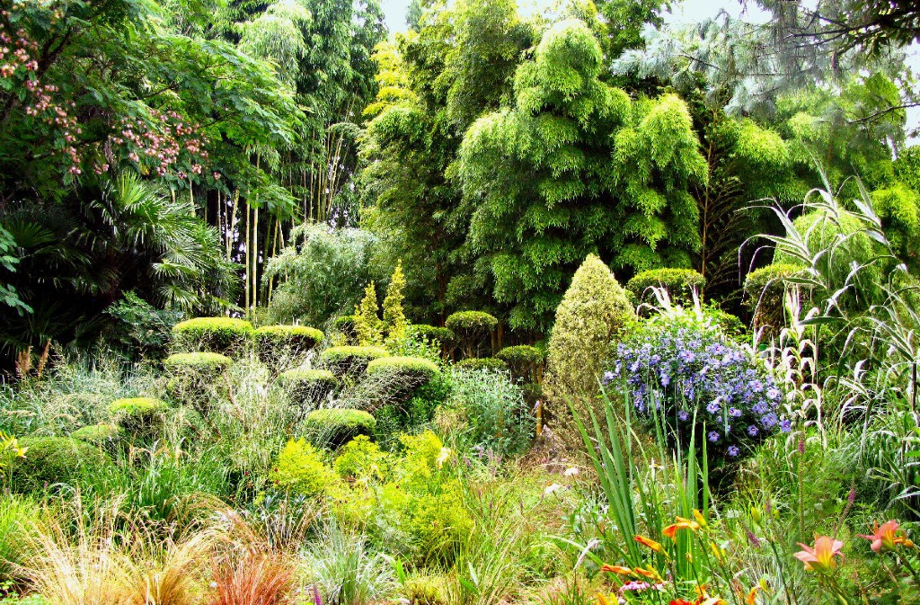 Bambous et Art – Jardin de Planbuisson