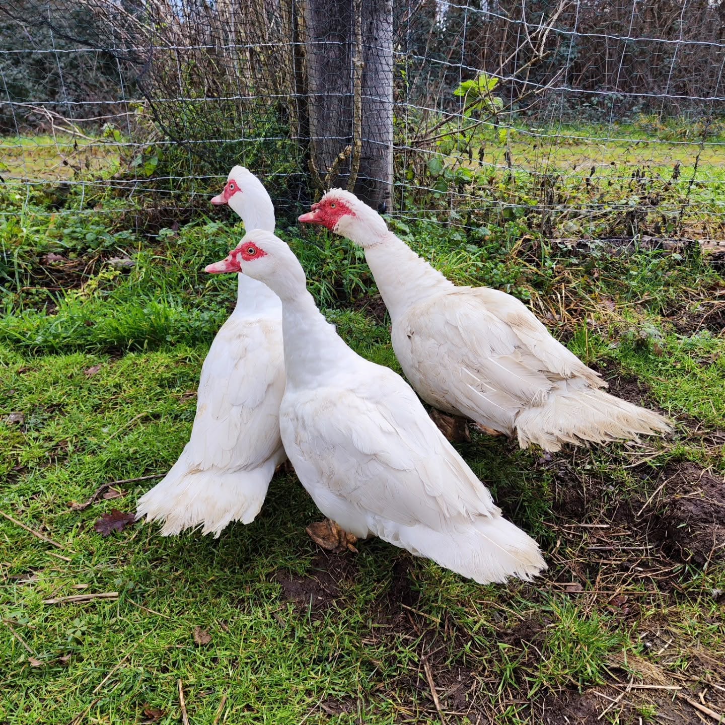 Ferme Naturaleza