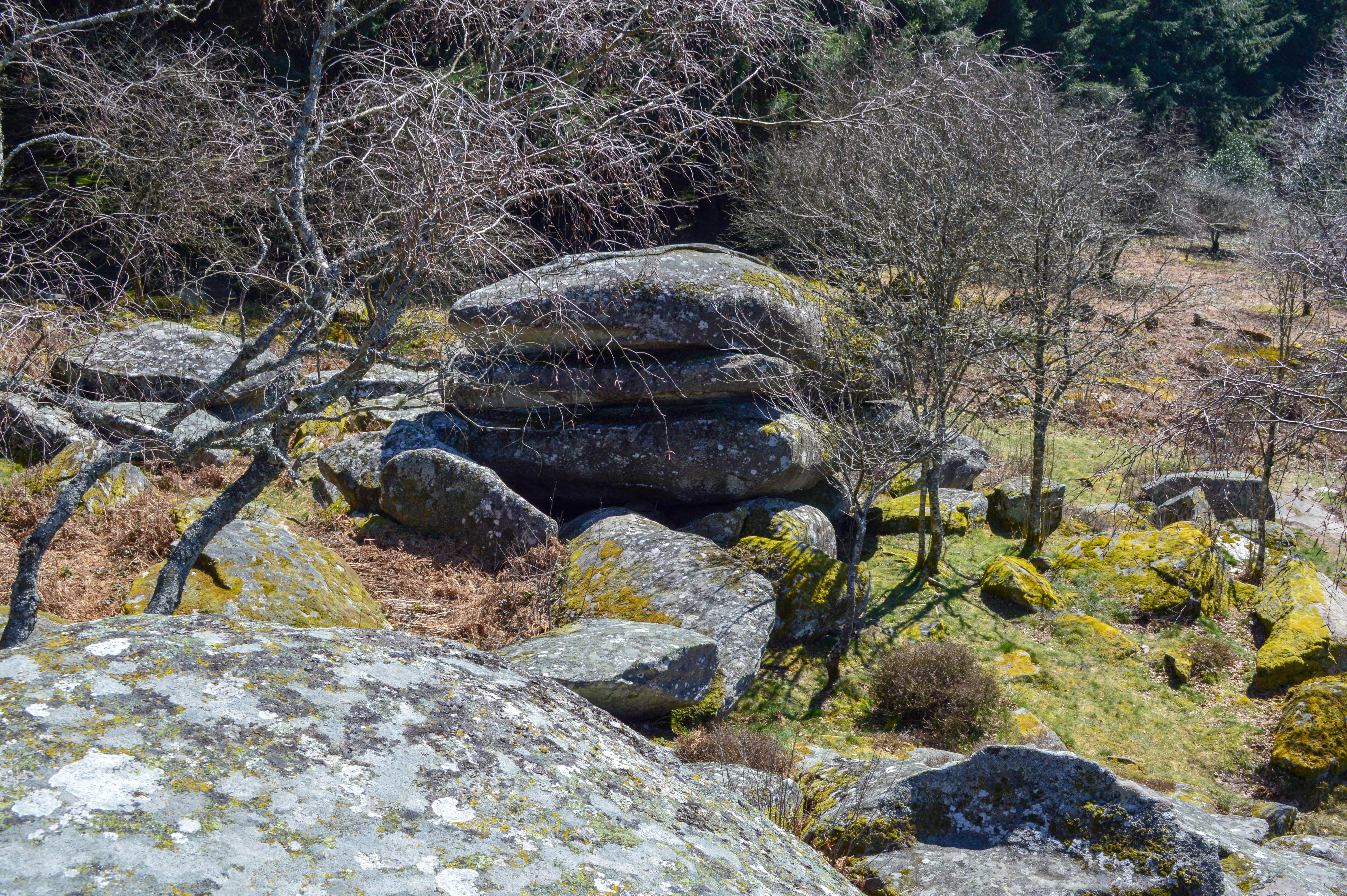 Circuit Trail n°2 : La petite carrière