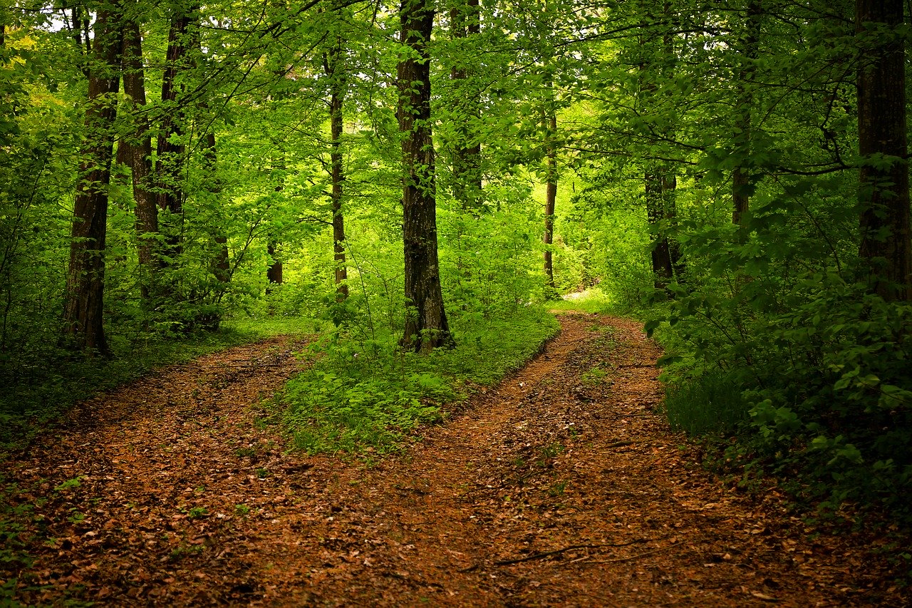 La Vallée de la Tardes