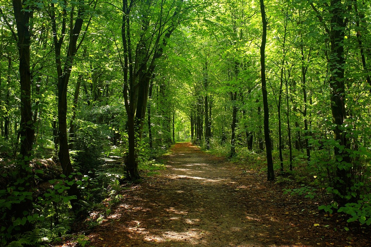 Petites rues et vieux chemins