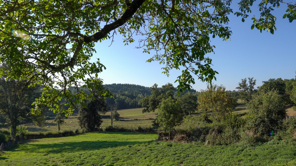 Sentier découverte ONF