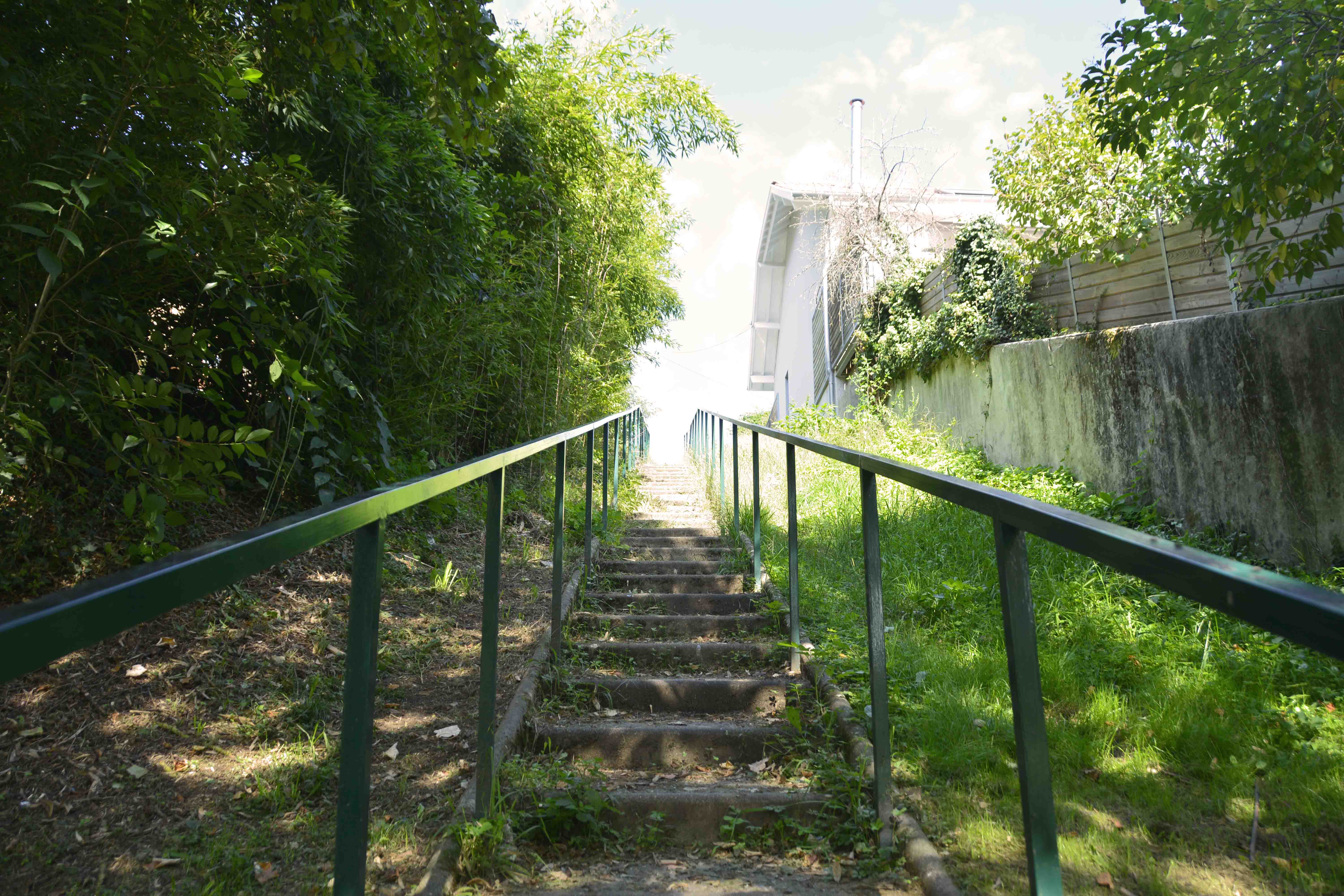 Le chemin de halage