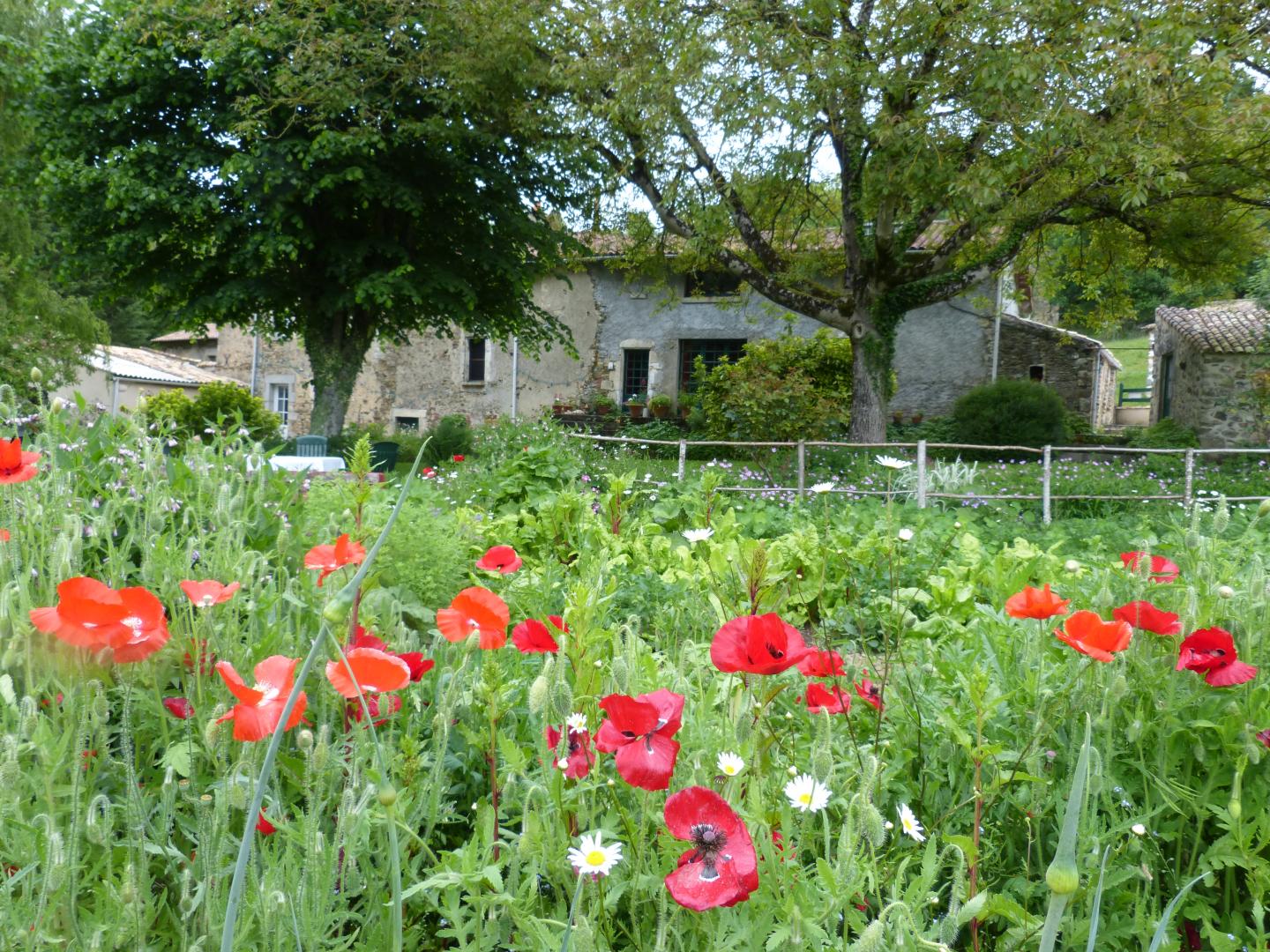 Chambre d'hôtes Fenioux