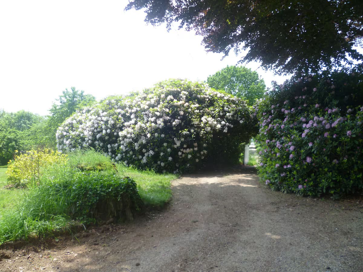 Le Mazet