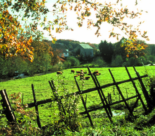 Circuit pédestre n° GB3 L'Etang de la Ribbe