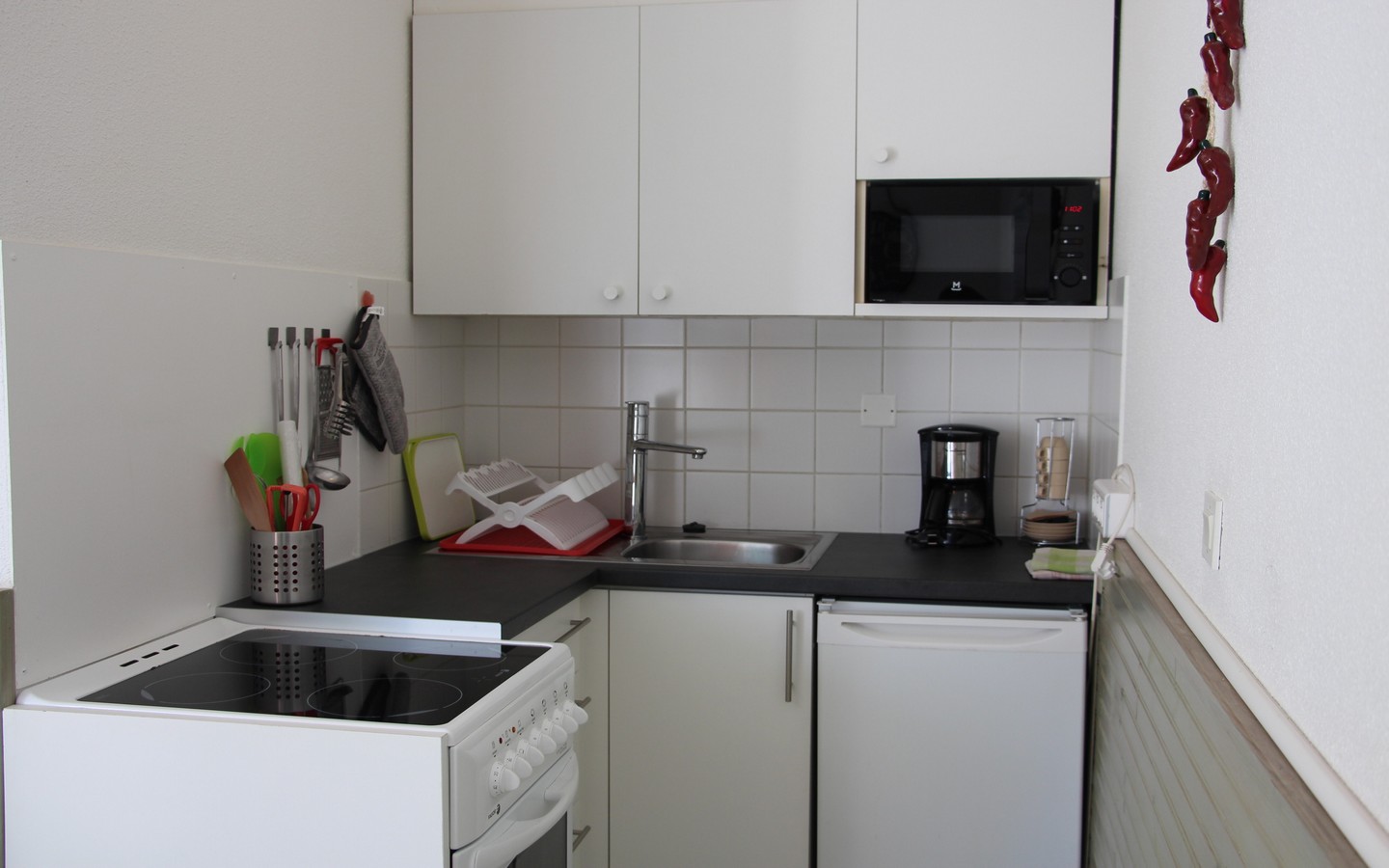 Cam 184 - Location Plein sud