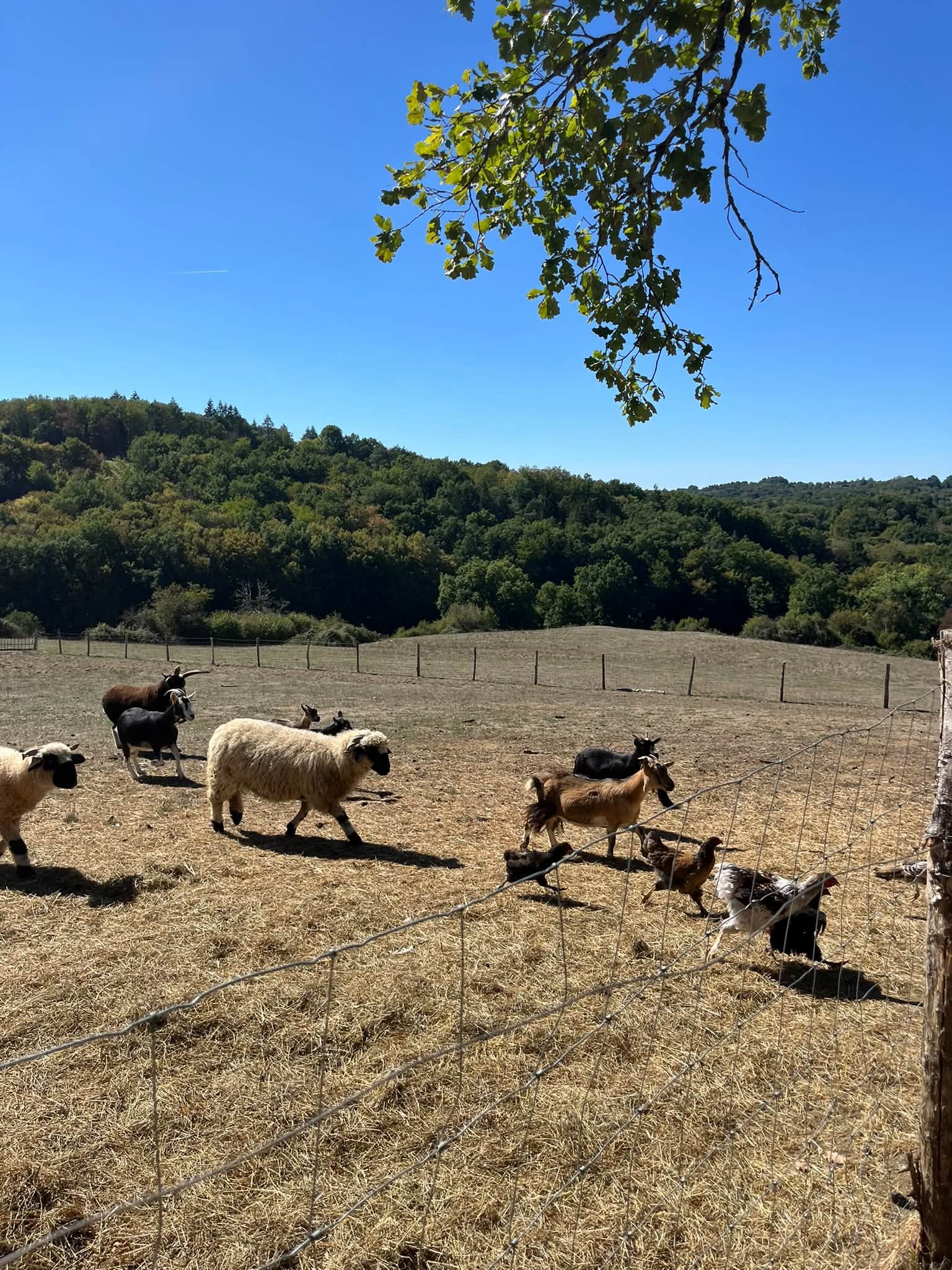 Ferme Naturaleza