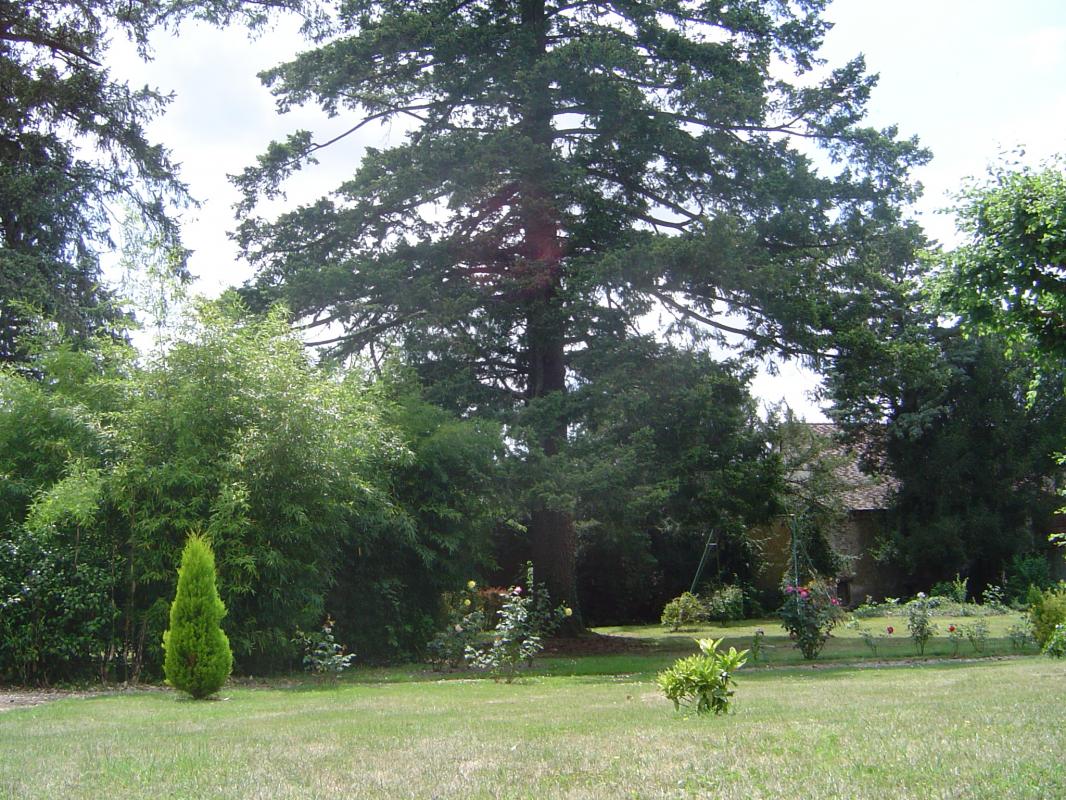 La Mesou