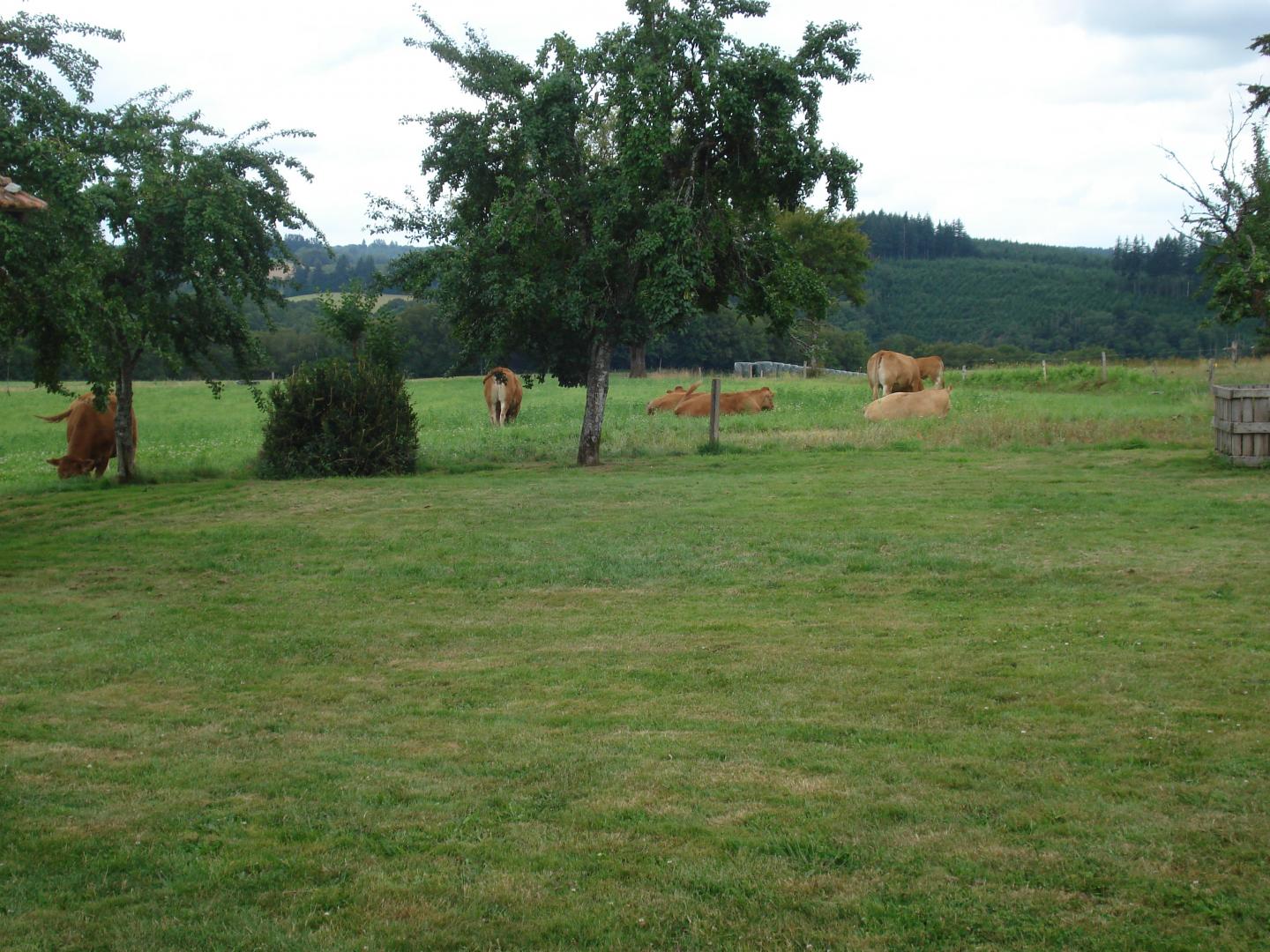 Gîte des Rousses