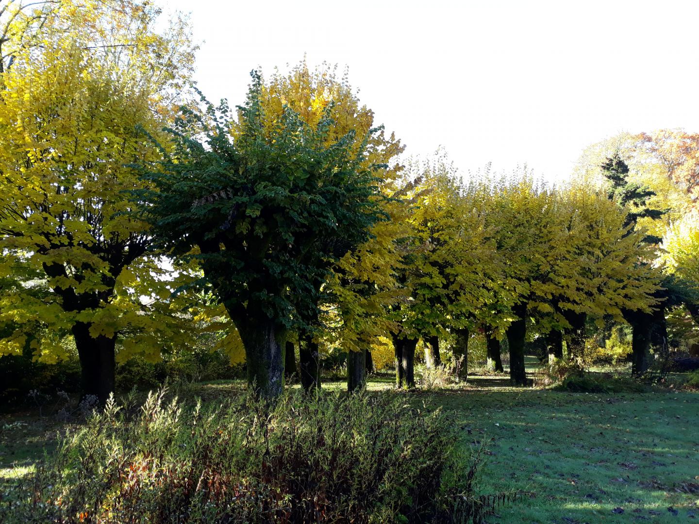 Le Château de Saint Roch